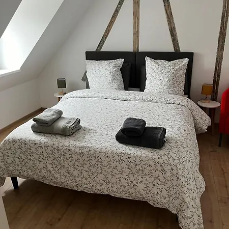Le Donjon Classe 4 Etoiles 5 Mn Du Standing 120 M2 Centre Au Calme Apartman Strasbourg